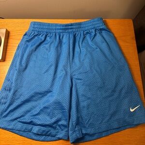 Nike Dri-FIT Blue Mesh Shorts